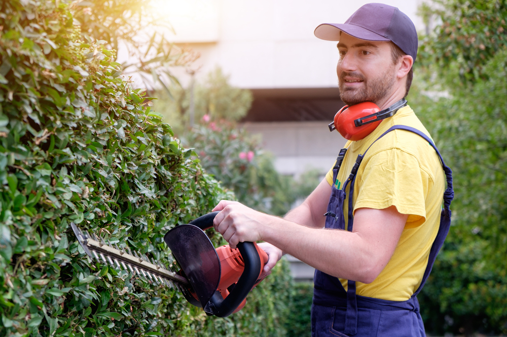 Your Career as a Landscaper